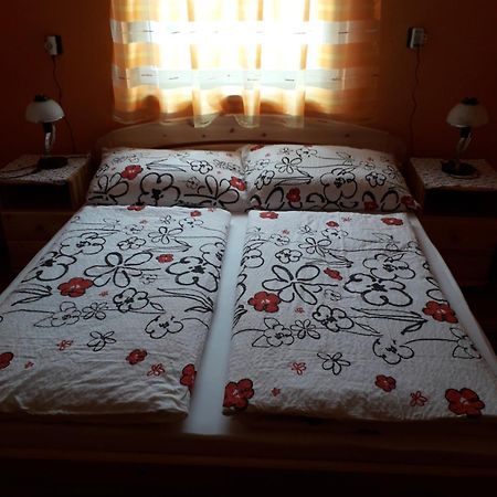 Kelemen Apartmanok Abádszalók エクステリア 写真